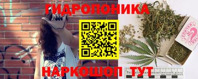 молекула духа Чебоксары