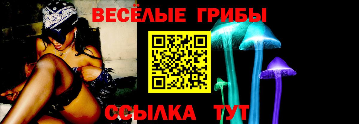 Галлюциногенные грибы мицелий  Вход с VPN  Псилоцибиновые грибы Magic Shrooms  купить закладку  Янаул 